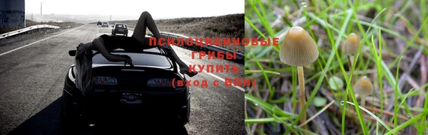бошки Аркадак