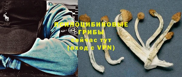 мет Армянск