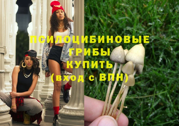 бошки Аркадак