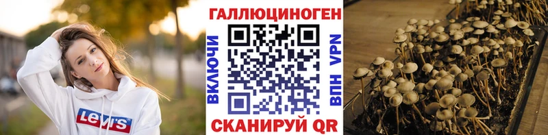 Галлюциногенные грибы Cubensis  гидра сайт  Лянтор  наркота 