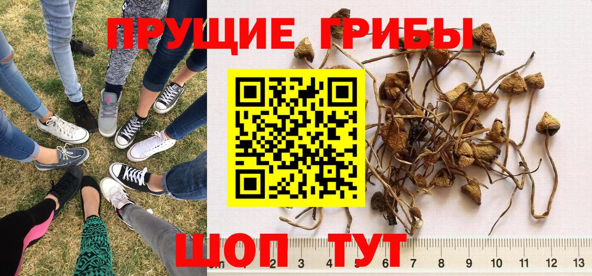 Псилоцибиновые грибы ЛСД Лянтор